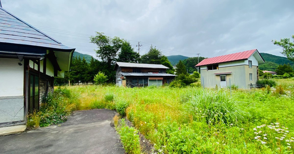 空き家問題　雑草がすごい